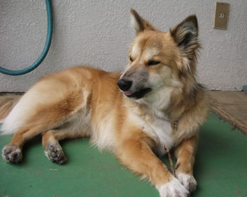 �ł�������Ƃ܂���