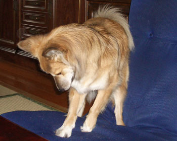 ���֎q�@��͒��̎d���̈��