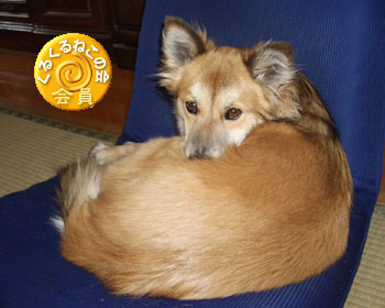 ��߂Q�N���A���邭��̉���ɂ��Ă��炦����I