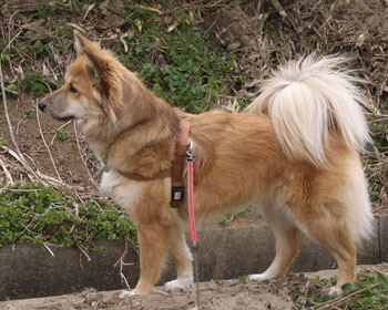 �l�R�𔭌�������