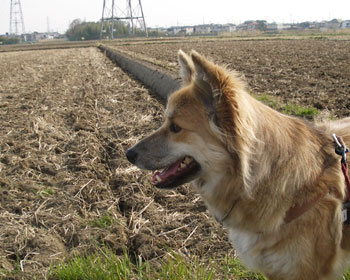 �����v���񂾂���