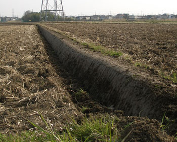 ����͐E�l�Z�����