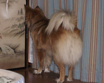 �˂��A�U���̎��Ԃ���