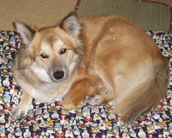 �ق�A�����Ă邵