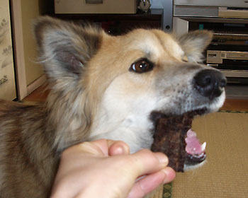 �J���K���[�W���[�L�[������������