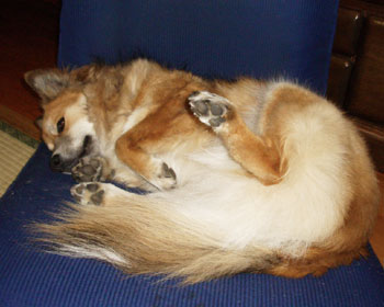 ���A�Ȃł�H