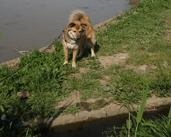 �Ђ��I��������I