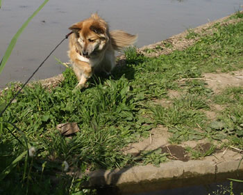 ����I�g���I