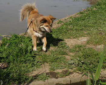 �����͒��Ԃ񂾂���