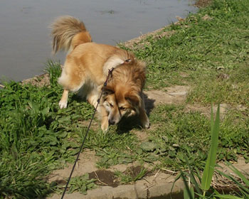 ��������ȂĂ΁I