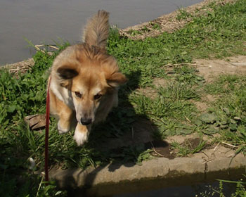 �������I�K���B