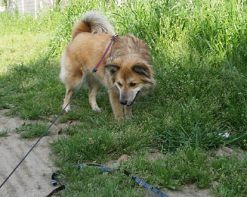 �A�������ς�|��