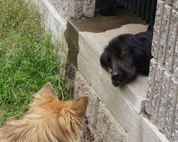 ���̎q�A���񂭂񌾂��Ȃ���͂ݏo�Ă�����