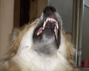 �@�͂��炩��