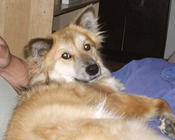 �������͂���܂�D������Ȃ�