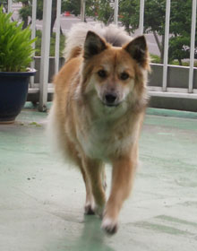 �Ă΂��Ƃ��܂ɗ���