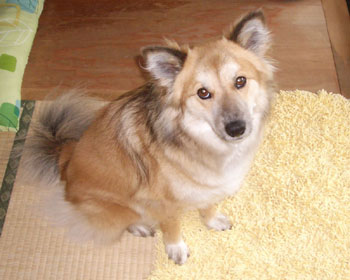 �T���ځA������O�ɓ���