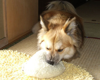 �|�R�|�R�������Ċy����