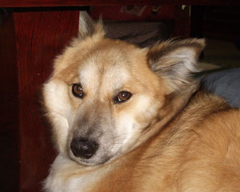 ���̊p�x���D�������ǁA�u�X�ɂȂ�񂾂��