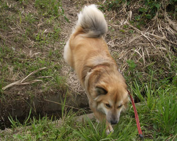 �ł�����΂��Ĕ��