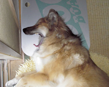 �������M