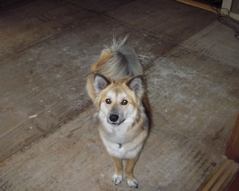 �Ȃ񂩕������ς���