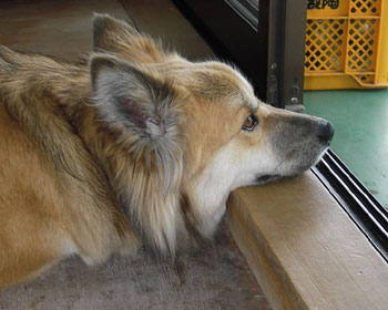 �g�̐U������l���Ȃ���