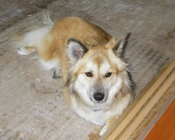 �铦�����ȁH�����H