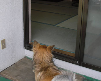 ���I�V������