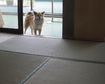 ������Ƃ��킢�E�E�E