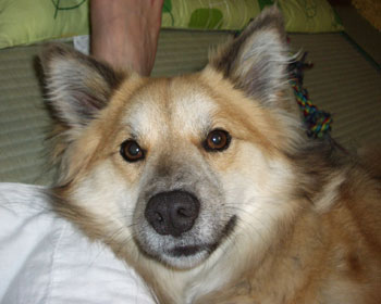 ���������C�ɓ���