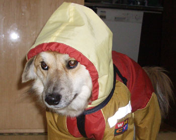 �����܂�Ă�Ă�