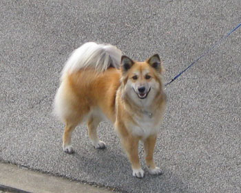 �x�����_����Ă΂ꂽ