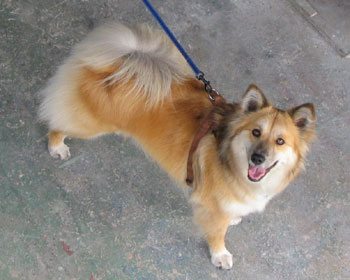 �U���̂��ƂŖ��ʂ̏΂�