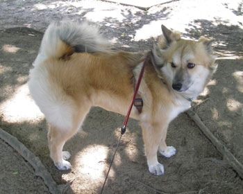 �K�ɕ��𓖂Ă�