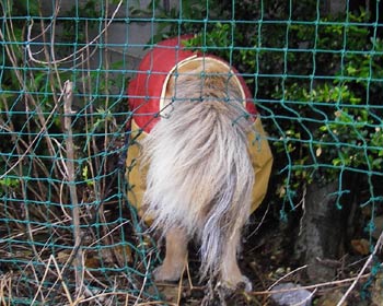 �ق�A�����ۂ�