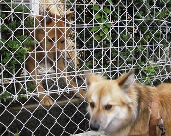 ���A���ςނƂ������Ȃ�