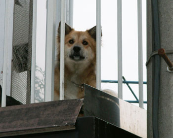 ������ԁE�E�E