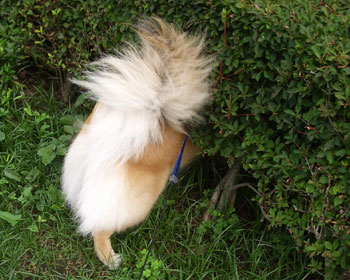 �����Ƃ���I