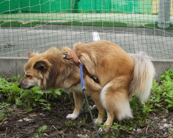 ����E�E�E�^��