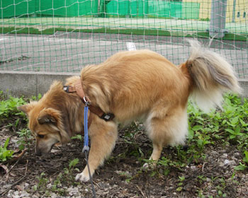 �Еt���Ƃ��Ă�