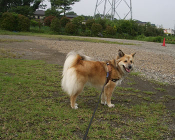 ���ԏꂪ�D��