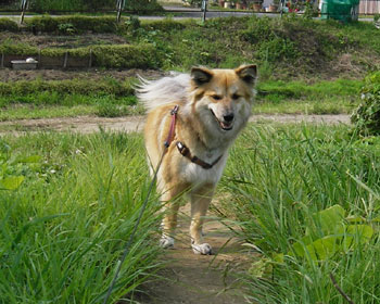 �U���B�����L�тĂ��ă�����