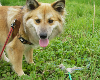 �r�r��Ɛオ�o��