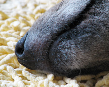 �@�̉��Ƃ����͂������������ۂ�