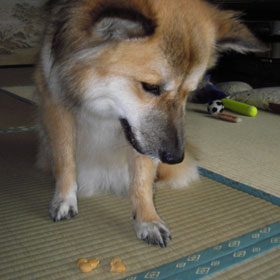 �ɂ�񂾂珬�����Ȃ���