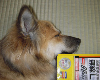 �������x���ĕs���炵��