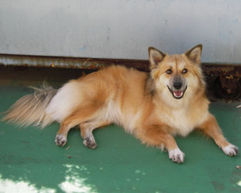 �����Ƃ��͓��A��