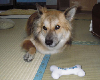 ���点�I���`���͂��킩����