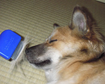 �͂��͂��A�����ς����Ă悩������